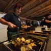dsc_6971