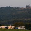 dsc_6984